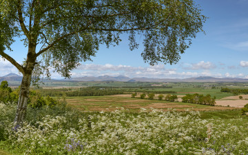 Картинка природа пейзажи простор