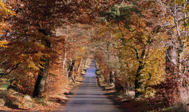 Обои картинки фото природа, дороги, тракт