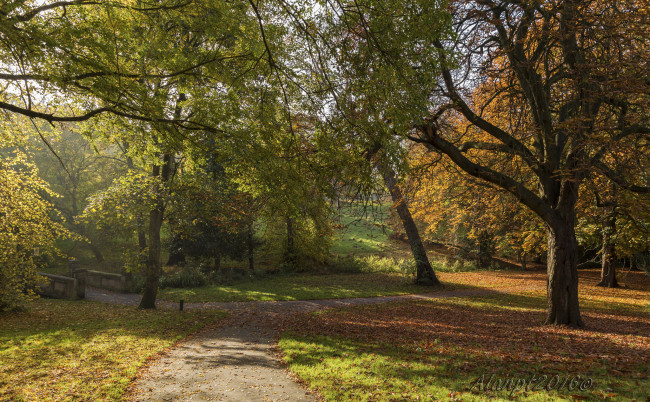 Обои картинки фото природа, дороги, тракт