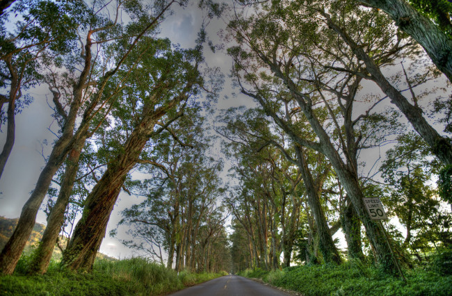 Обои картинки фото природа, дороги, тракт