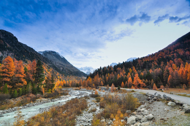 Обои картинки фото природа, реки, озера, река, лес