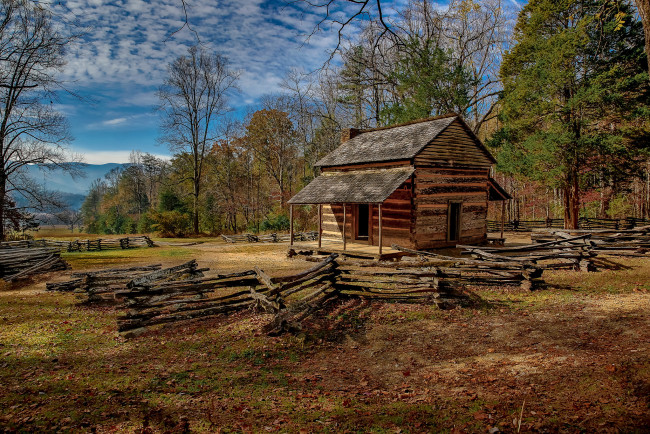 Обои картинки фото природа, пейзажи, опушка