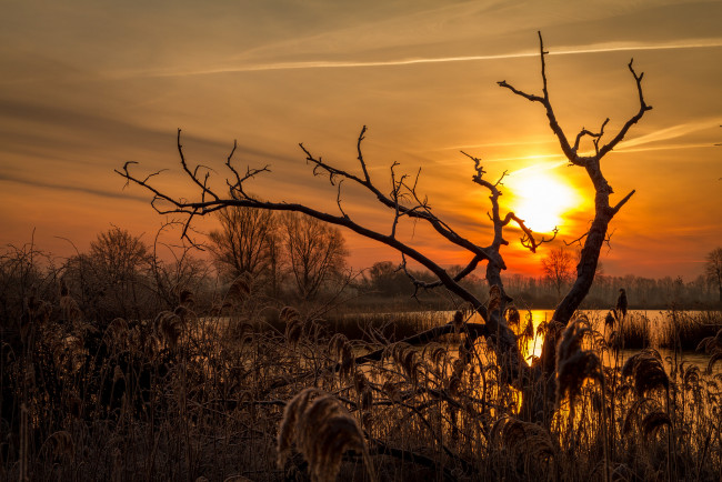 Обои картинки фото природа, восходы, закаты, рассвет