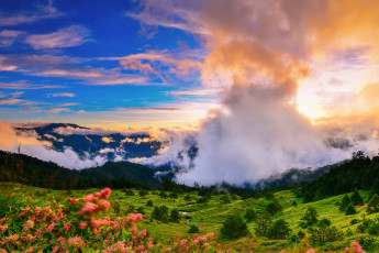 Картинка природа горы простор