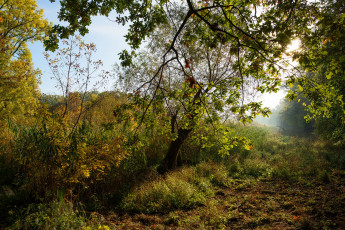 Картинка природа реки озера простор