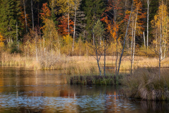 Картинка природа реки озера простор