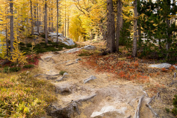 Картинка природа дороги простор