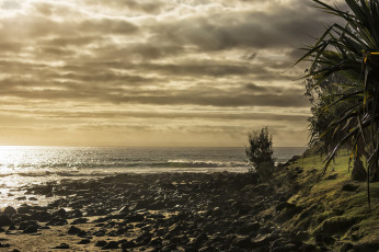 Картинка природа побережье простор