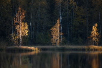 Картинка природа реки озера простор