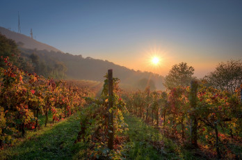 Картинка природа восходы закаты простор