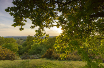 Картинка природа пейзажи простор