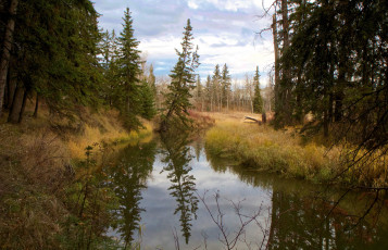 Картинка природа реки озера простор