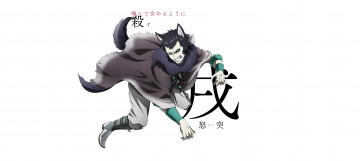 Картинка аниме juuni+taisen juuni taisen