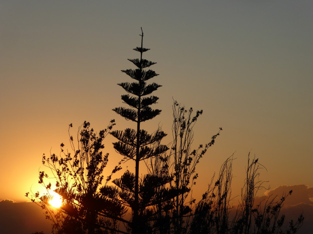 Обои картинки фото природа, восходы, закаты, простор