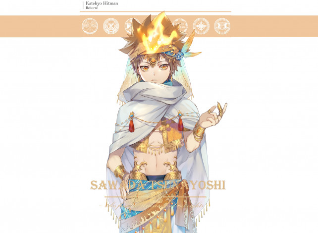 Обои картинки фото аниме, katekyo hitman reborn, савада