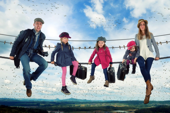 Обои картинки фото юмор и приколы, провода, семья, птицы