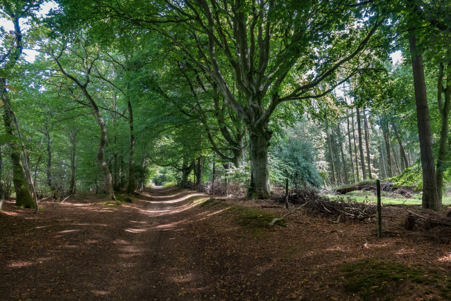 Обои картинки фото природа, дороги, простор