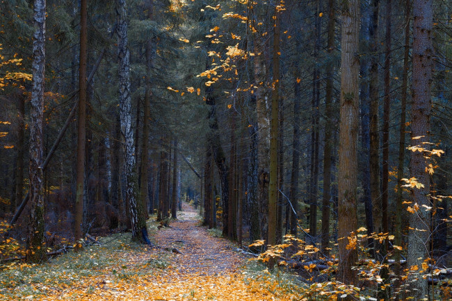 Обои картинки фото природа, дороги, простор