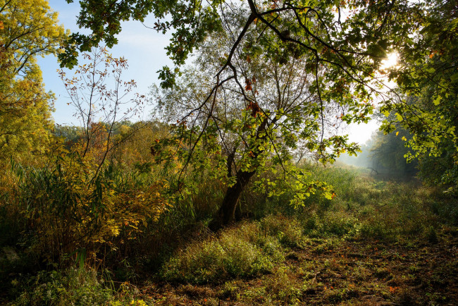 Обои картинки фото природа, реки, озера, простор