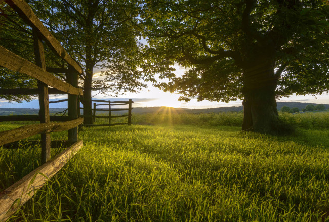 Обои картинки фото природа, пейзажи, простор