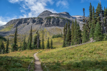 Картинка природа горы простор