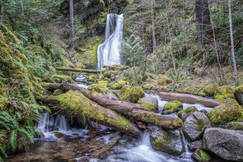 Картинка природа реки озера простор