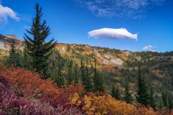 Картинка природа горы простор