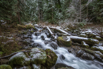 Картинка природа реки озера простор