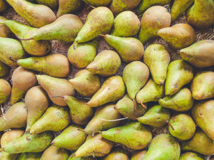 обоя еда, груши, много, фрукты