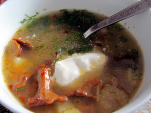 Картинка еда первые+блюда суп грибной