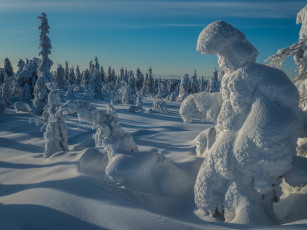 Картинка природа зима простор