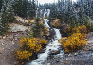 Картинка природа реки озера простор