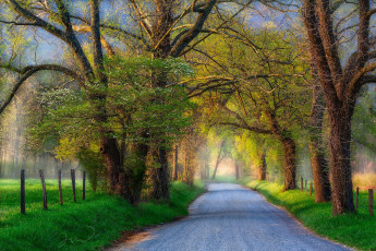 Картинка природа дороги простор