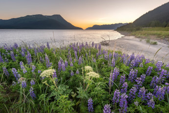 Картинка природа побережье простор