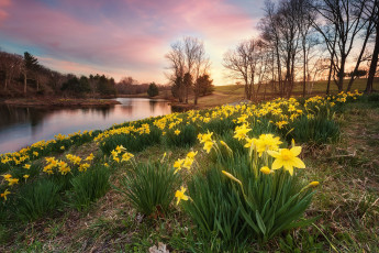 Картинка природа реки озера простор