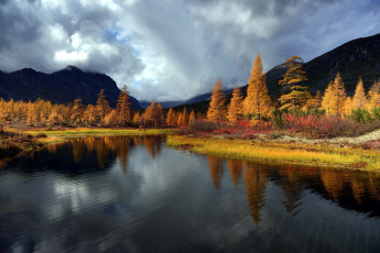 Картинка природа реки озера река