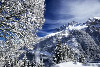 Картинка природа зима простор