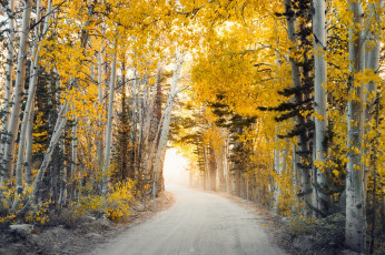 Картинка природа дороги простор