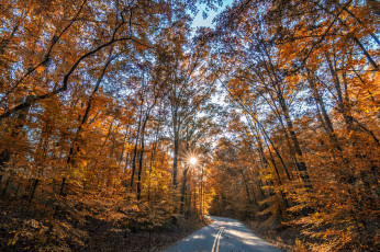 Картинка природа дороги простор