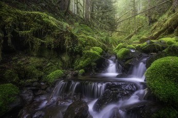 Картинка природа реки озера простор