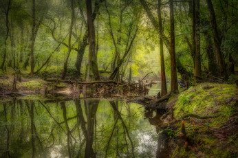 Картинка природа реки озера простор