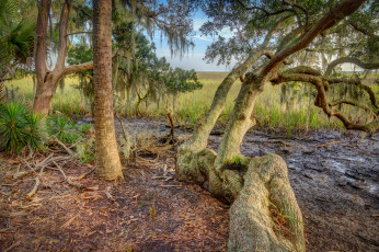 Картинка природа реки озера простор