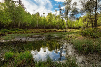 Картинка природа реки озера простор