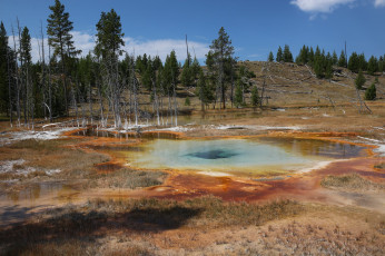 Картинка природа реки озера простор