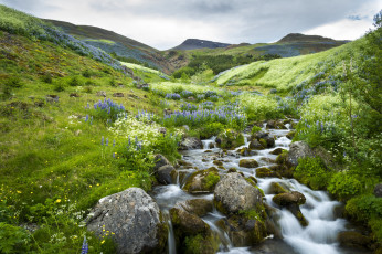 Картинка природа реки озера простор