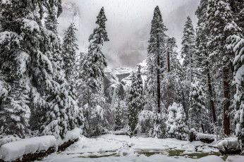 Картинка природа зима простор