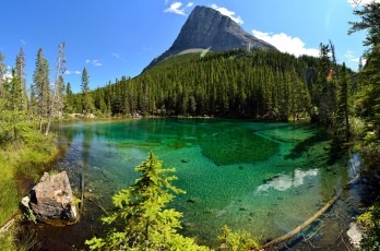 Картинка природа реки озера простор