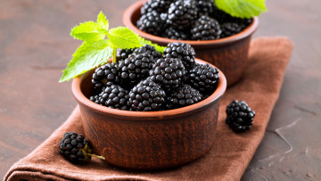 Картинка еда ежевика ягоды мята