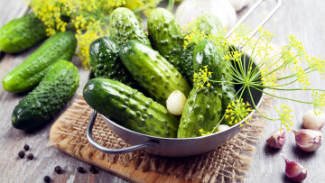 Картинка еда огурцы чеснок укроп