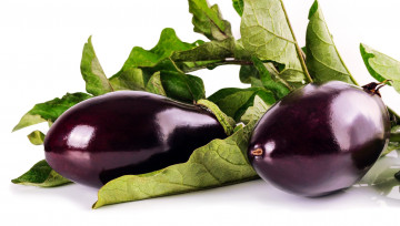 Картинка еда баклажаны овощи синенькие